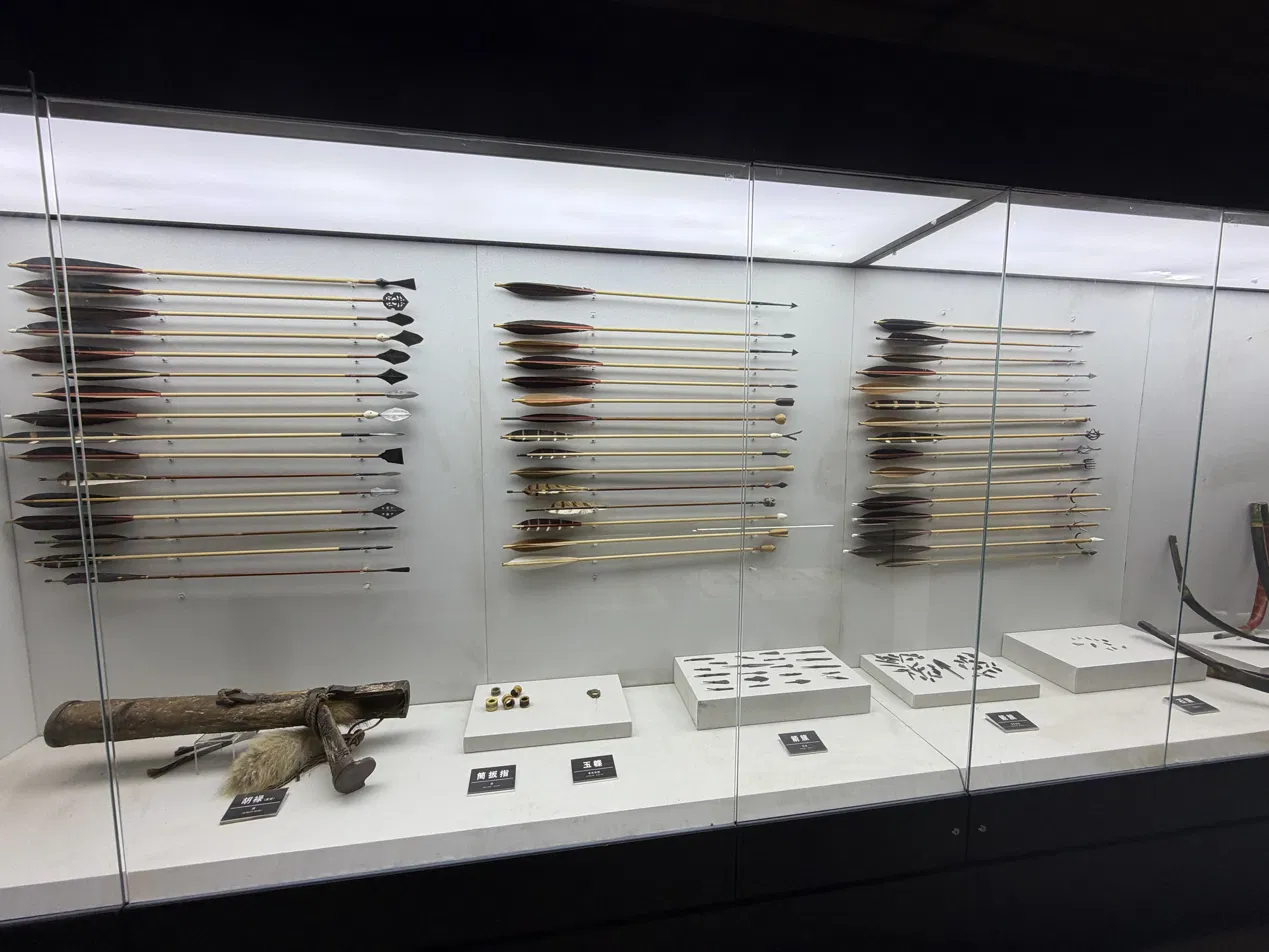 Arrows with varied arrowheads and fletching arranged in a display case