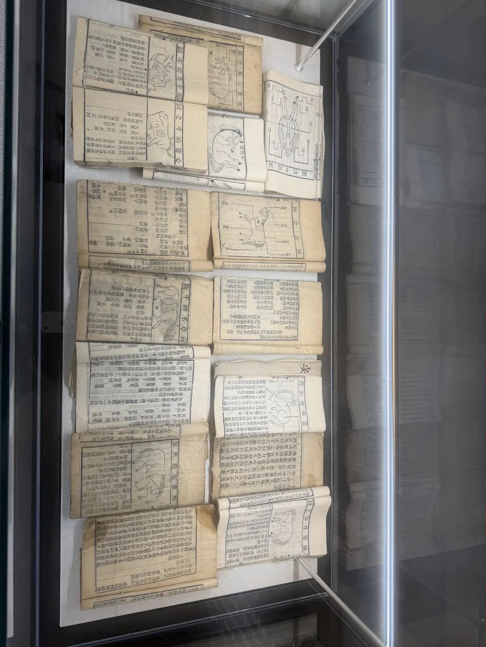 Illustrated pages on archery, bows, and riding, arranged inside a display case